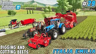 Building sugar factory, digging & cutting beets | Italian Farm | Farming simulator 22 | Timelapse#29