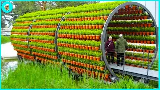This method is amazing - Modern agriculture technology that every farmer wants