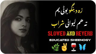 Jam we Ka Pyaally Sharab|| Pashto New Song||Pashto Slow And Reverb||Educated Sheenogy||Pashto Song