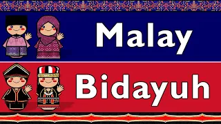 AUSTRONESIAN: MALAY & BIDAYUH, BAU