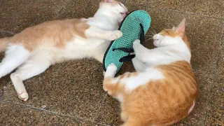 the slipper is mine (part 2)
