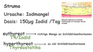 Pharmakologie ─ Schilddrüsenmedikamente