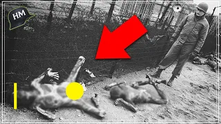 ¡Así SUFRlER0N estos SOBREVIVIENTES de Auschwitz, Sobibor y Treblinka!