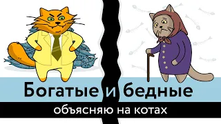 Богатые и бедные: объясняю на котах | Коты Ходорковского