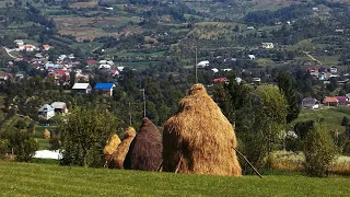 Ma kryvi at punen mbas Mullarit sepse me gjeti duke