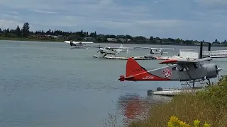 Seaplanes drums