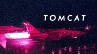 End of an era   |  A F-14 Tomcat edit