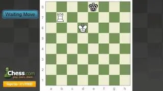 Chess Endgames: Checkmating with a Rook