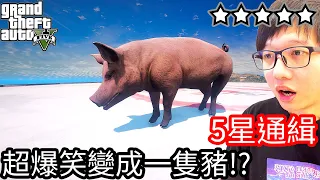 【Kim阿金】五星通緝 超爆笑變成一隻豬挑戰度過24小時逃脫!?《GTA 5 Mods》