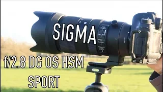 Sigma 70-200mm f/2.8 DG OS HSM SPORT - Overview & Sample Photos
