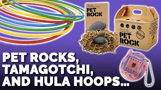 11 Surprisingly Dumb Products That Sold Millions (A Pet Rock For Example?)