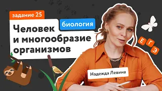 Человек и многообразие организмов: задание 25 | ЕГЭ по биологии | «Фоксфорд»