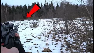 Охота на лося, лоси вышли на мой номер! Moose hunting!