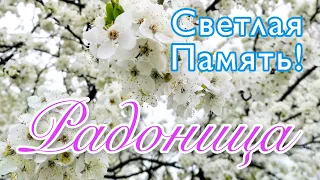 💛 РАДОНИЦА 💛 Красивое поздравление с Родительским днем! ☦️