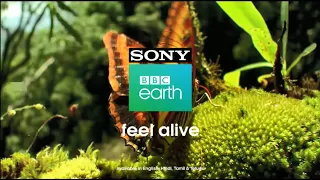 Sony BBC Earth Promos || Sony BBC Earth ||