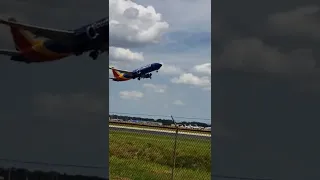 Incredible View of a Southwest Airlines 737 Taking Off from Tampa ##shorts #travel #planespotting