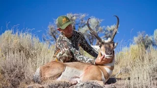 BIG NEVADA ANTELOPE