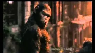 Dawn of the Planet of the Apes TV Spot #9