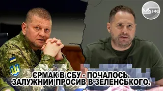 В ці хвилини! Єрмак в СБУ - почалось. Залужний ПРОСИВ в Зеленського. ЗСУ в шоці, прибрали ДО РУК