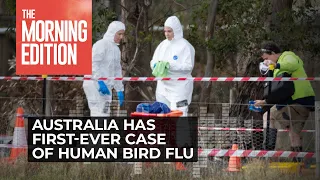 Australia has its first-ever case of human bird flu. What happens now?