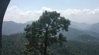 Sight scene Dagshai Himachal Pradesh India nice and cool place