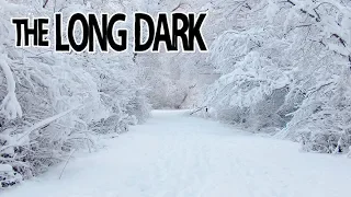Выживание The Long Dark Сезон 2 #21 Пошел гулять, уснул в снегу