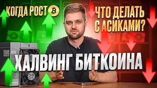 ХАЛВИНГ БИТКОИНА! Когда РОСТ Биткоина. Какие АСИКИ ЛУЧШЕ и что с ними делать?