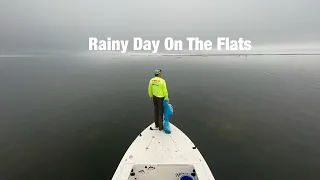 Rainy day on the flats St Marks Florida