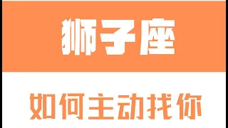 「陶白白」如何讓獅子座主動找你：給獅子的愛要留有餘地