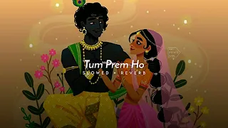 Tum Prem Ho [ SLOWED + REVERB ]