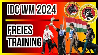 IDC 2024 - Training Team Germany 🇩🇪