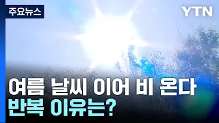 [날씨] 이번 주말도 여름 날씨 이어 비온다...반복 이유는? / YTN