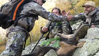 Chamois Hunt | Blaser K95 Success