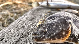 オホーツク海で釣り！ルアーで釣れないやつが引っかかってきた...!?