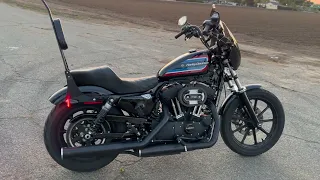 Pure sound of Harley Davidson Iron 1200 sportster