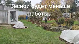 Подготовила метельчатые гортензии к зимовке. Ленинградская область.