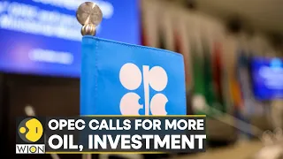 WION Business News | OPEC raises long-term oil demand view