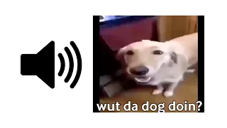 What The Dog Doin' (Reverb) - Meme Sound Effect | ProSounds