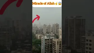 miracle of allah ☝️😳|| #shorts #allah #islam #miracle