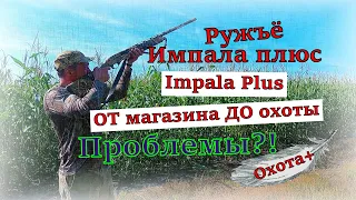 Импала Плюс ТРЕЙЛЕР Турция Impala Plus Turkey ОБЗОР ОТ магазина ДО охоты. Первые выстрелы. Проблемы