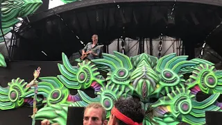 Cosmosis at Psy-Fi Festival 2019 (Seed of Science)