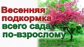 Подкормки яблони, смородины, черешни, розы, винограда, абрикоса, вишни ........