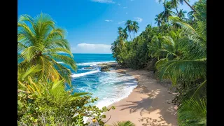 The Caribbean Coast of Costa Rica  Paradise Awaits