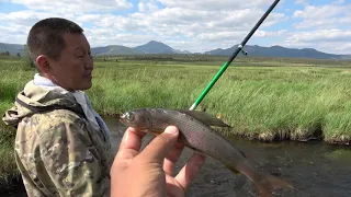 ОЙМЯКОНСКИЙ ХАРИУС!!! В ОЗЕРЕ ЕГО ПРОСТО ТЬМА!!!