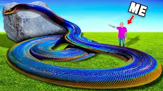 Rainbow Snake The Most Beautiful Snake In The World