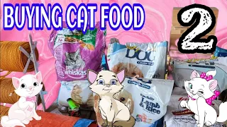 Buying Cat Food | Chespie & 13 Cats | VLOG 2