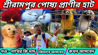 Serampore Pet Market | Hooghly Shrirampur Pet Market | Pet Market Near Me | Serampore Pakhir haat