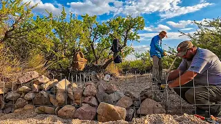 Greening the Desert, Step by Step, Backed by Volunteers