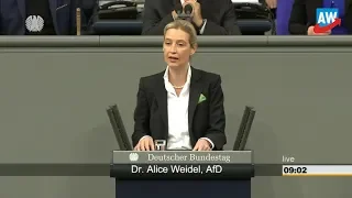Dr. Alice Weidel - Haushalt des Kanzleramtes
