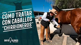 Cómo tratar con caballos "chirrioneros"